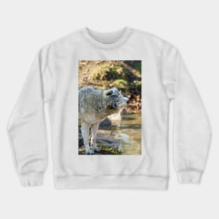 Gray Wolf Crewneck Sweatshirt